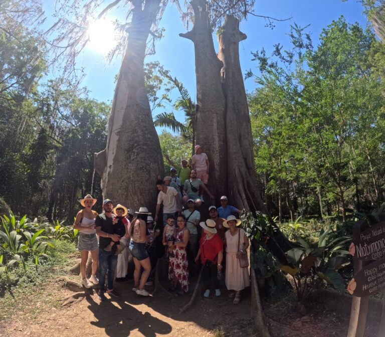 Viajeros junto a un árbol centenario en Santander