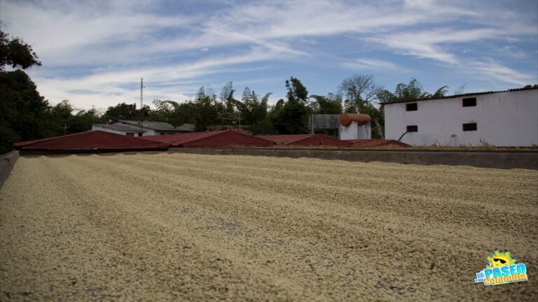 Plan Puente Festivo Quindiano 3 días, 2 noches — Quindío