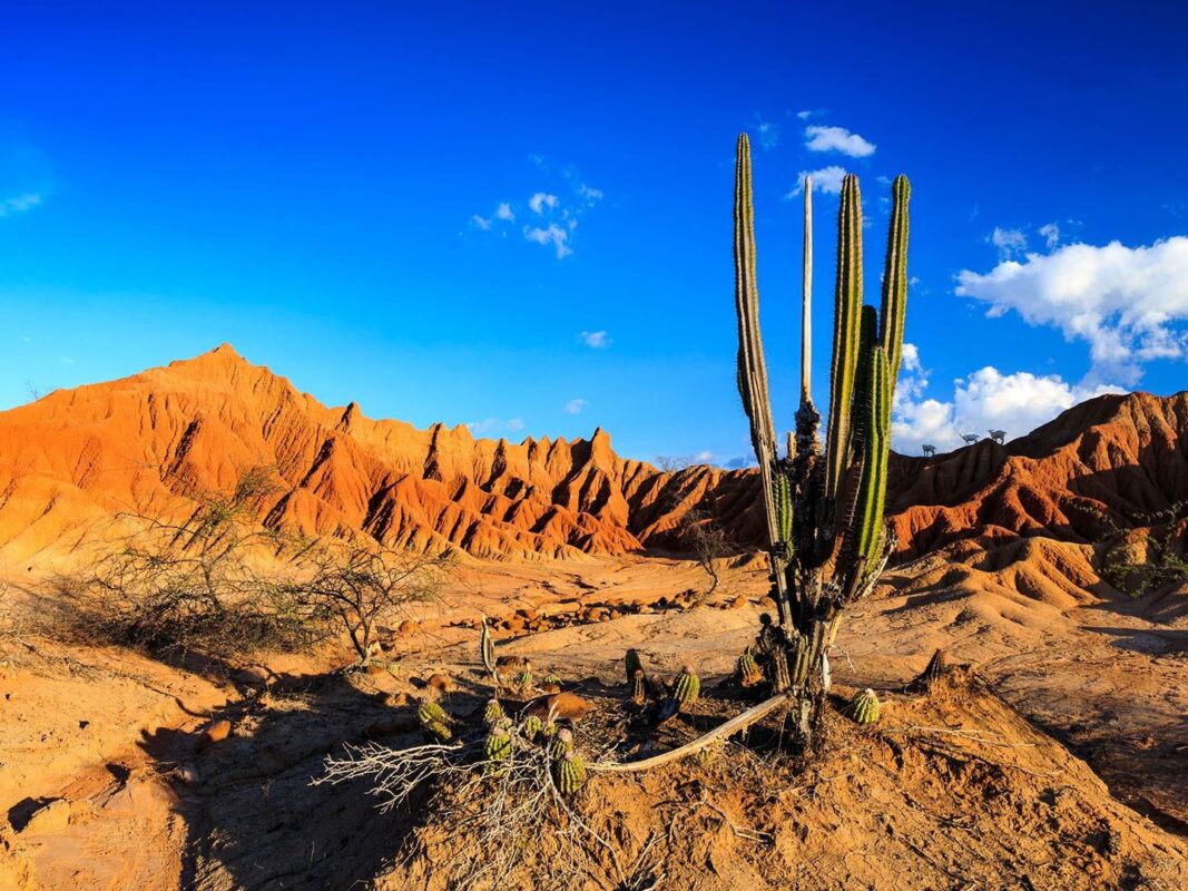 Cactus y formaciones rojas del Desierto de la Tatacoa en el Huila