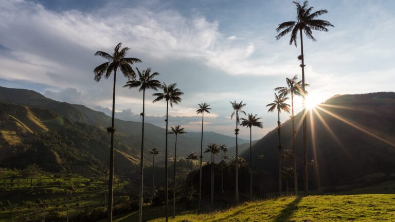 Plan por las Montaña del Quindío 4 Días 3 Noches