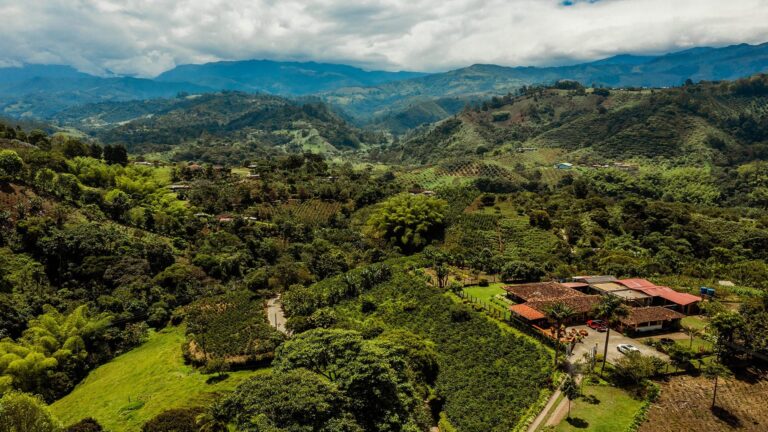 Circuito Medellín y el Eje Cafetero 8 días, 7 noches — Antioquia