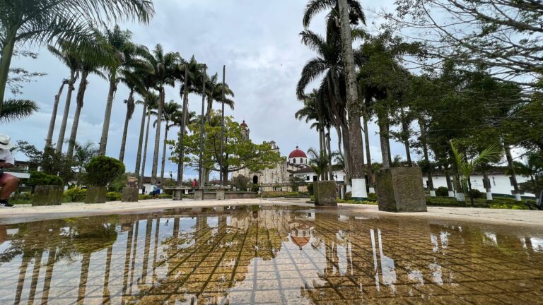 Parque lineal con palmeras en Santander