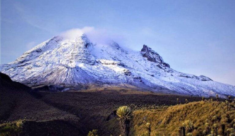 Volcán Nevado del Ruiz rodeado de frailejones